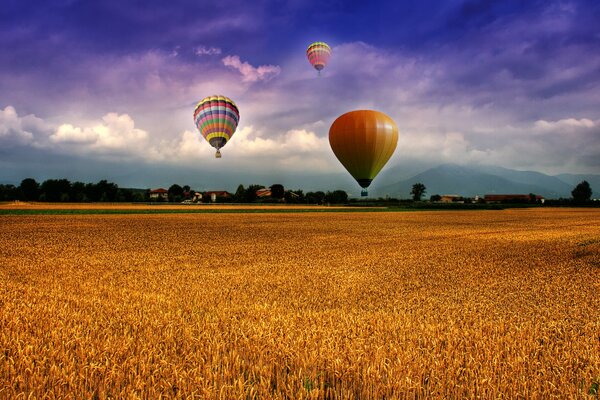 Balloons over the field