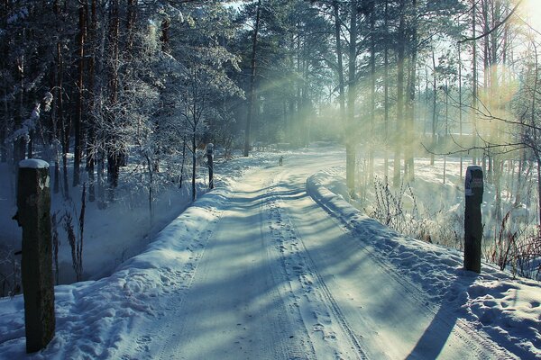 Un camino de invierno que lleva a un cuento de hadas