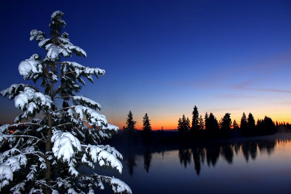 Ein mit Schnee besetzter Weihnachtsbaum vor dem Hintergrund von Wasser und rotem Sonnenuntergang