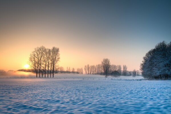 Sunny day in winter Sunset on the background of sky and snow