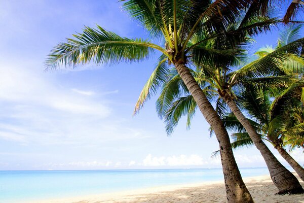 Palm Island Meer und Ozean