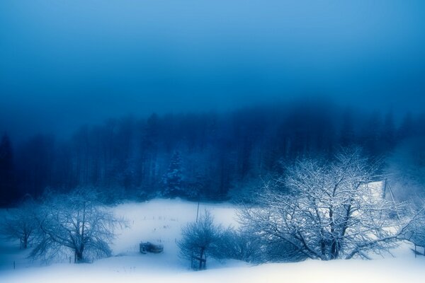 A frosty winter evening in the steppe