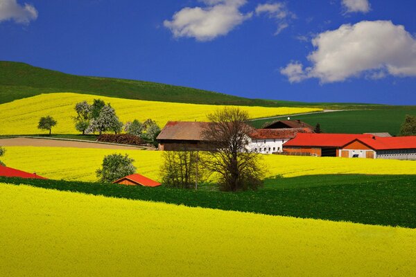 Granja brillante en una meseta verde