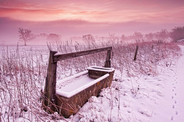 Bunte Winterlandschaft im Feld