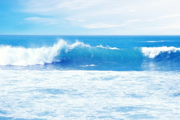 The sea with a beautiful wave