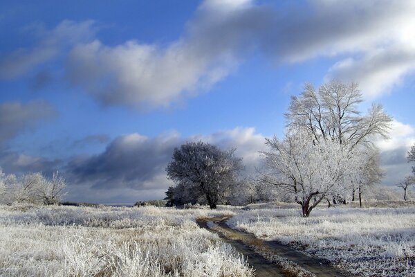 Rustic winter road in the cold