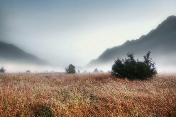 Thick fog over a field in the mountains