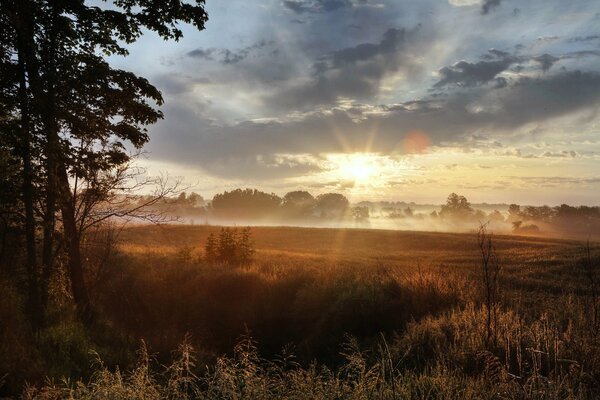 La amplitud de los campos en los rayos del amanecer