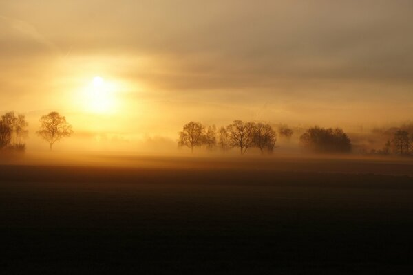 Tramonto nebbioso in un campo deserto