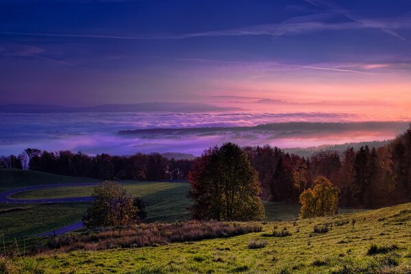 Brume pourpre dans la vallée de la forêt