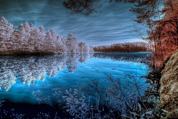 Frozen lake reflects snow trees