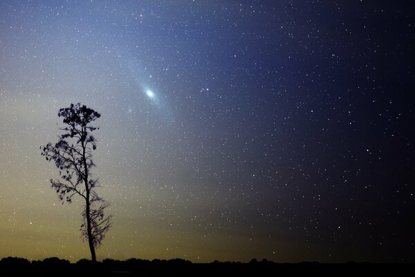 Andromeda ist unter den Sternen. Faszinierender Himmel