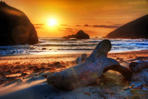 The rays of the rising sun in the ocean, illuminating a snag on the shore