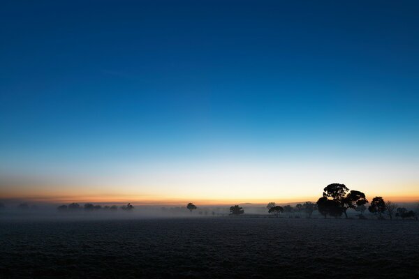 Un campo de niebla en el crepúsculo bajo el cielo azul