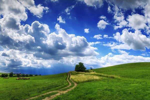 Cielo cubierto sobre el valle verde