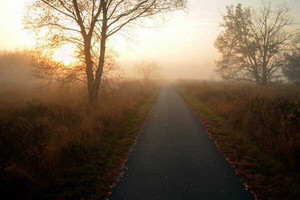 Landschaft des frühen nebligen Morgens