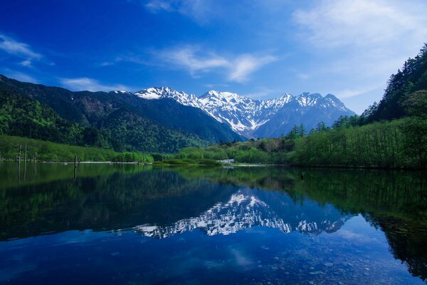 Schöne Landschaft im Wald am Fluss mit Blick auf die Berge