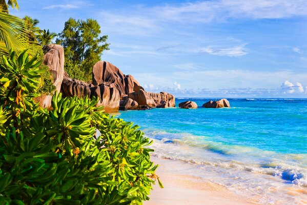 Sonniger Strand mit Palmen und Sand