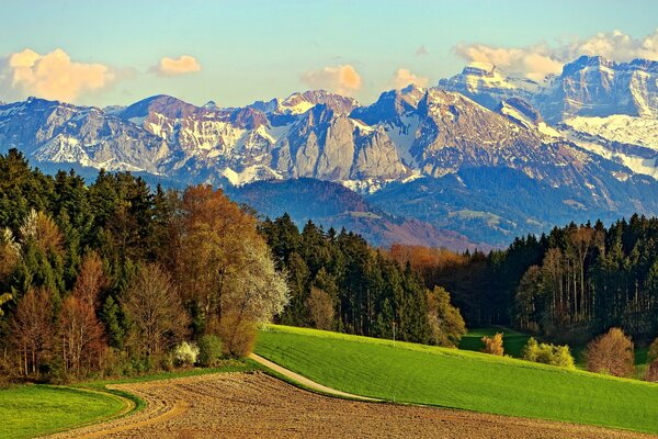 Der Weg führt durch ein Feld, eine Wiese und Berge