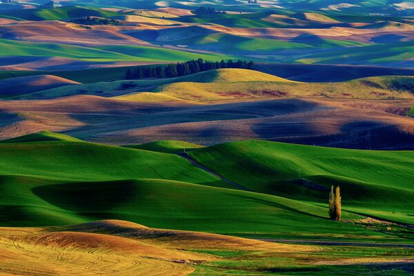 Green hills of carpet crossings