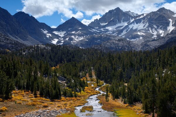 Ein Bach, der weit in die Berge führt