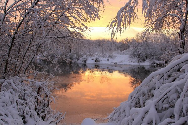 Schneebedeckte Bäume am Teich bei Sonnenuntergang