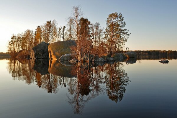 Arbres et pierres au milieu du lac