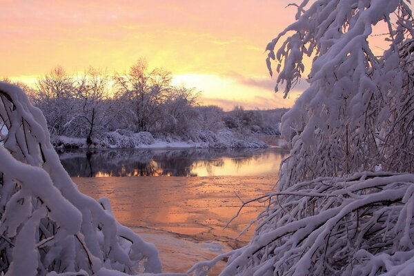 Beauté de la nature en hiver au bord de la rivière