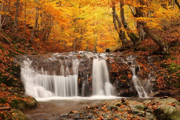 Paesaggio forestale di Osen con cascata vicino al lago