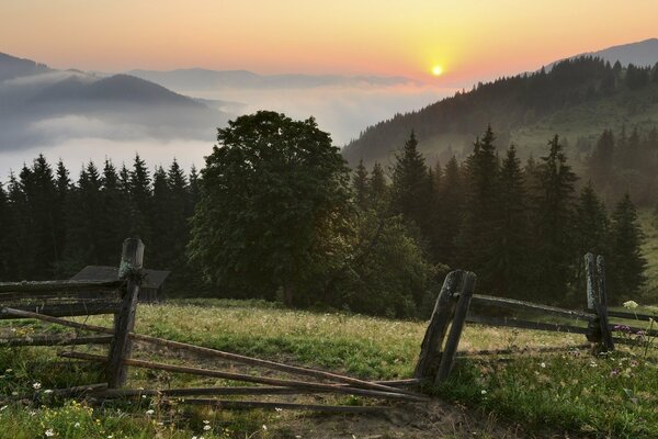 Brouillard dans les montagnes des Carpates