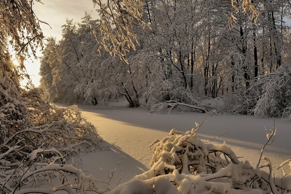 Mattina invernale innevata