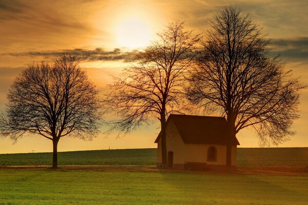 Árboles y casa en el campo. Hermosa puesta de sol