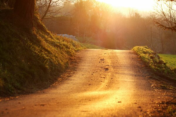 Route du soir sur fond de coucher de soleil