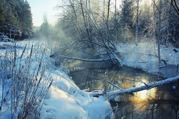 Schneebedeckte Ufer eines frostfreien Flusses