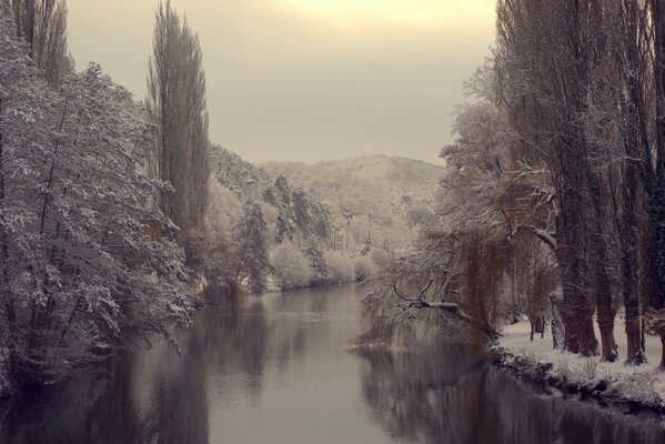 Grey forests and a river in winter