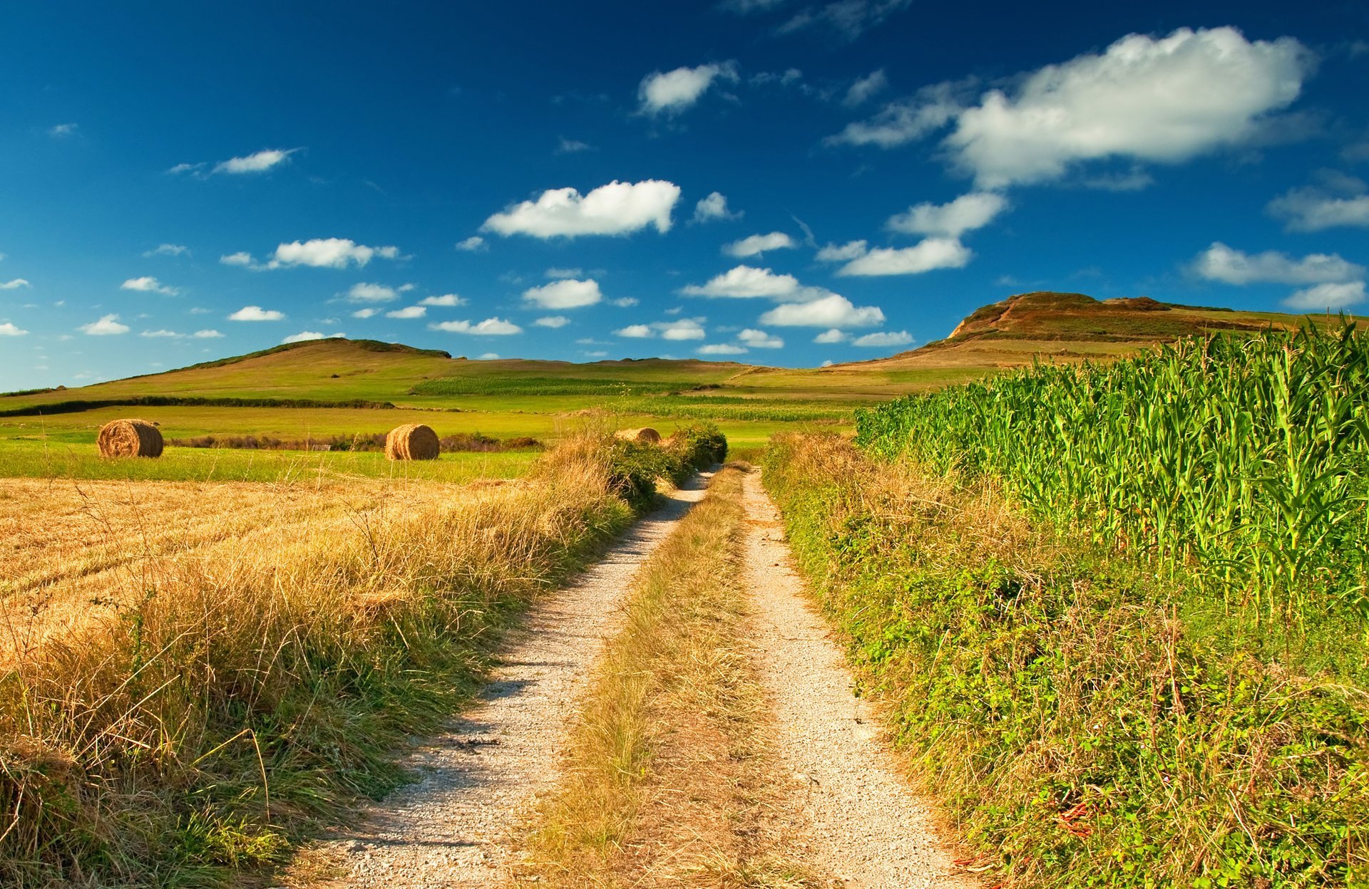 route de campagne champ vue paysage nature bleu ciel image meule foin maïs espace bleu horizon