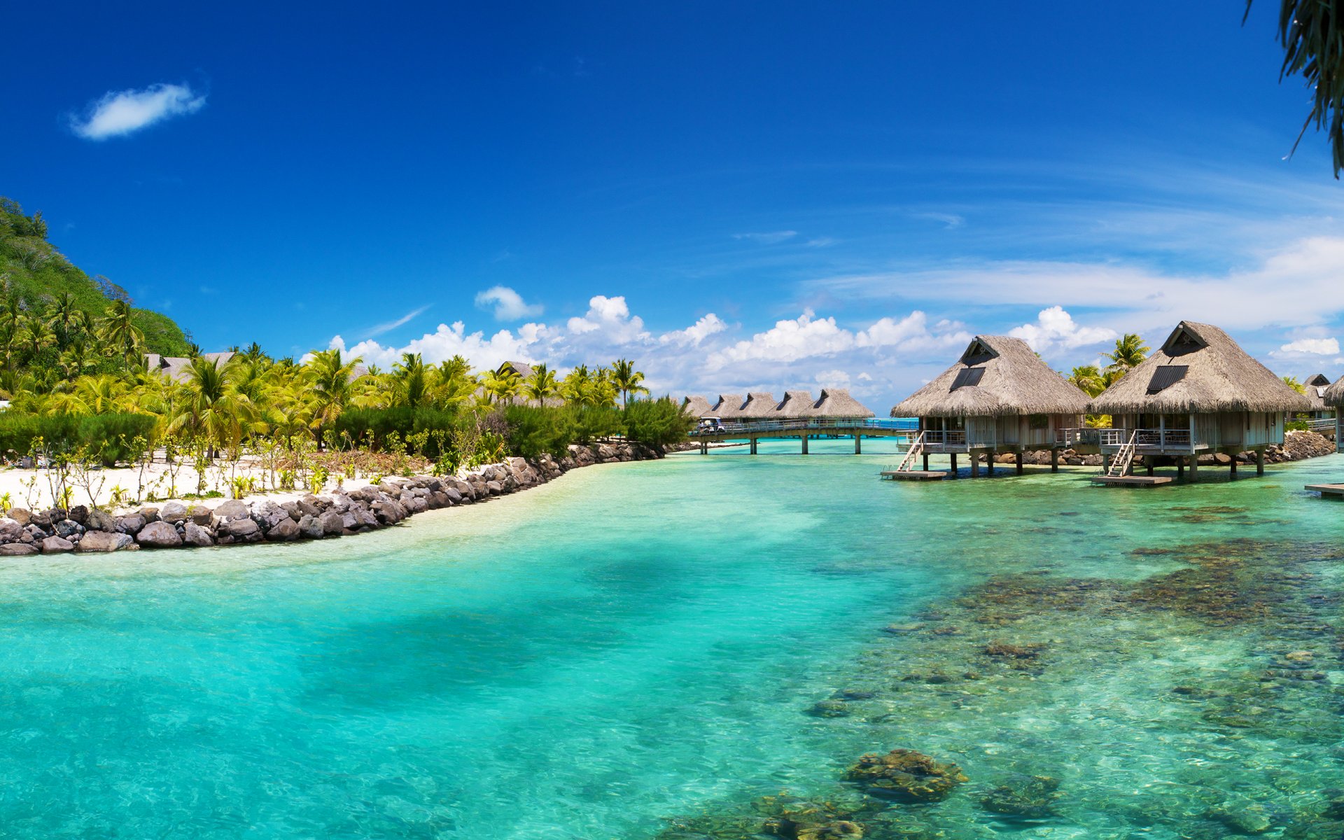 bora bora ocean morze palmy tropiki domki