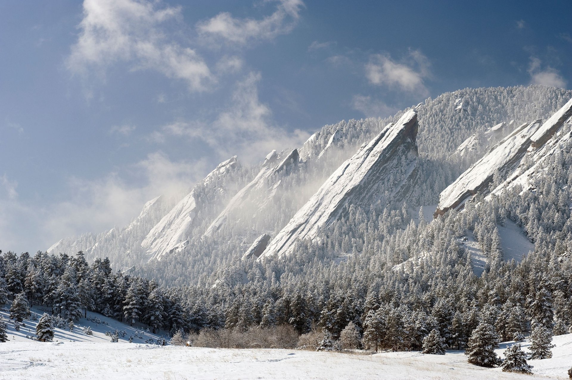 rocas montañas bosque invierno nieve