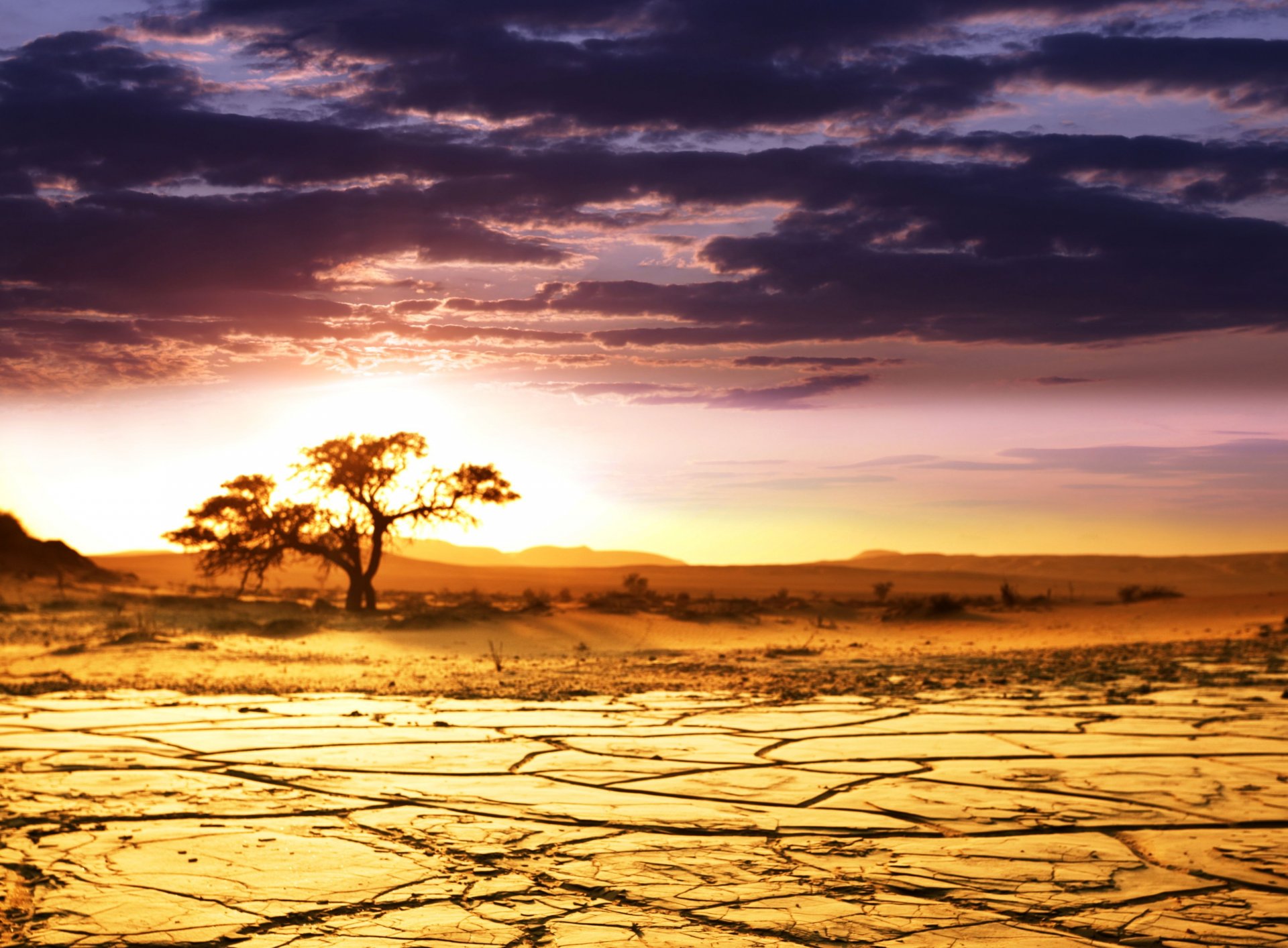 african landscape africa savanna landscape horizon sky clouds beauty tree sand dawn