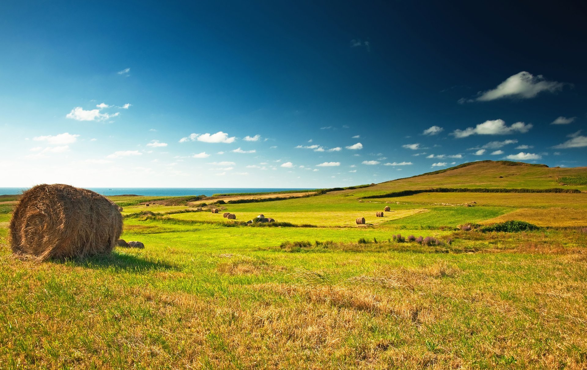 grün feld landschaft schöne aussicht wiese dorf heuhaufen heu blau himmel wolken horizont