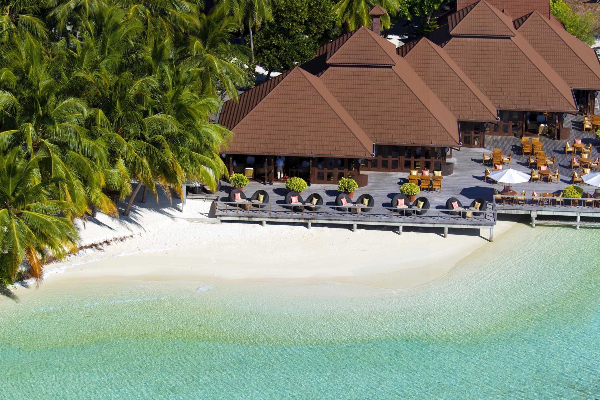 malediven seychellen insel küste strand sand palmen