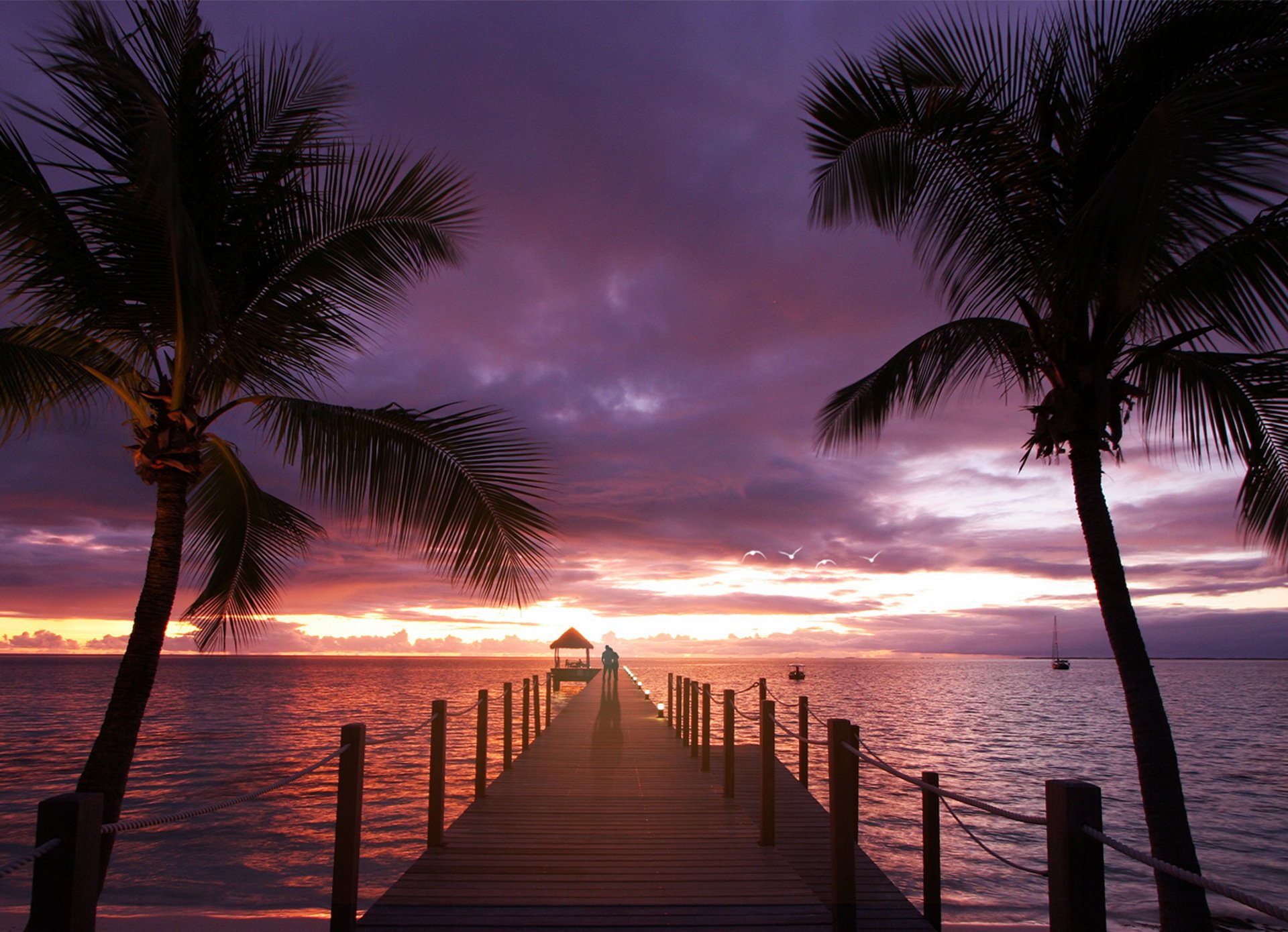 palmeras océano mar amor puesta de sol