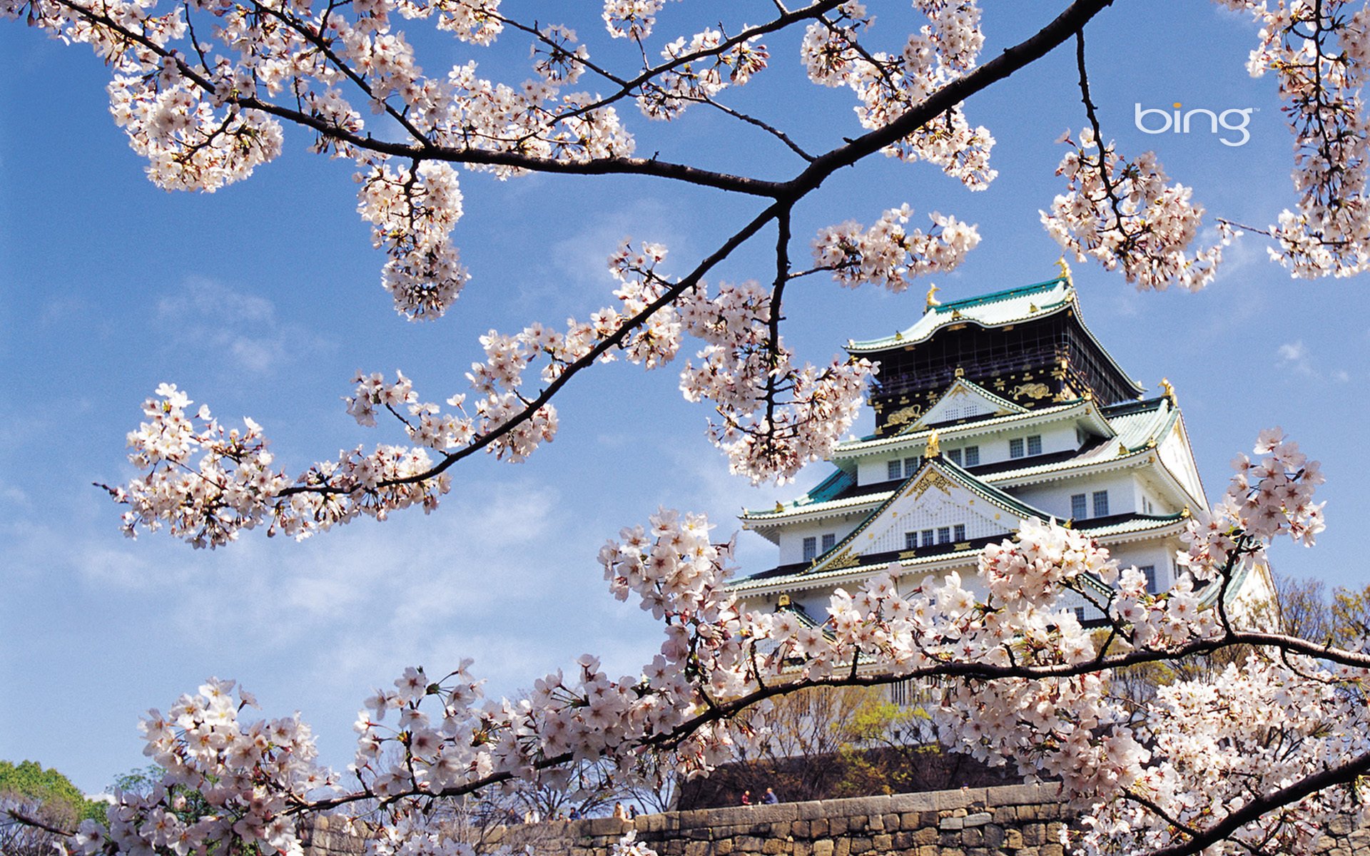 paysage temple printemps fleurs