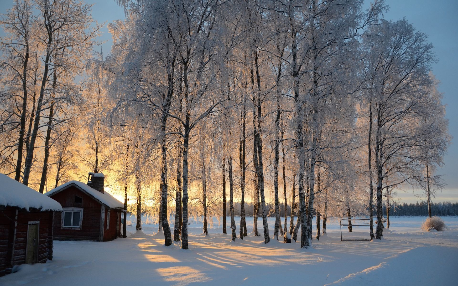 finlande cabane neige arbres lever du soleil hiver