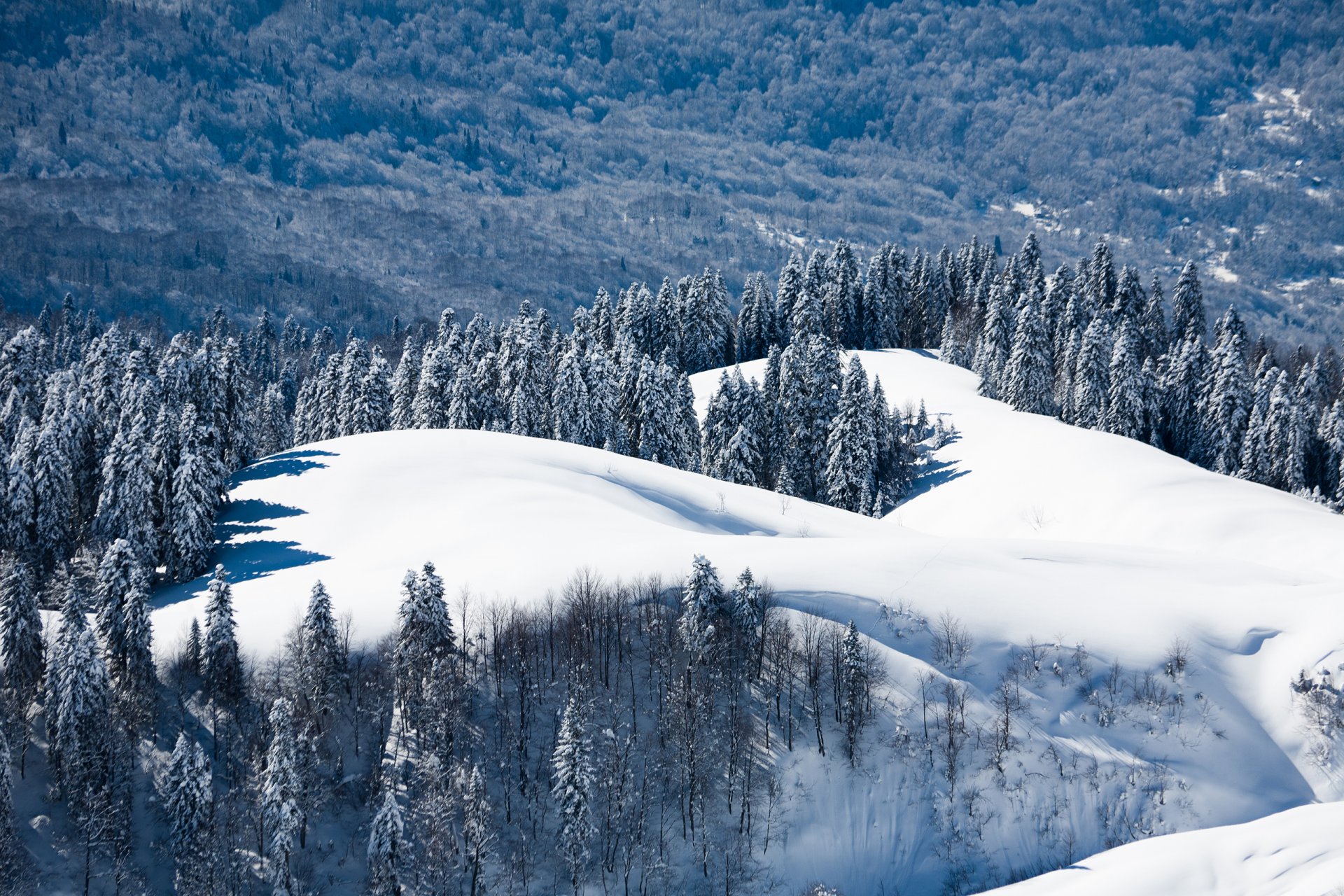 krasnaya polyana rosja soczi krajobraz natura góra las śnieg zima krasnodar kraj dmitrij chistoprudov tapety