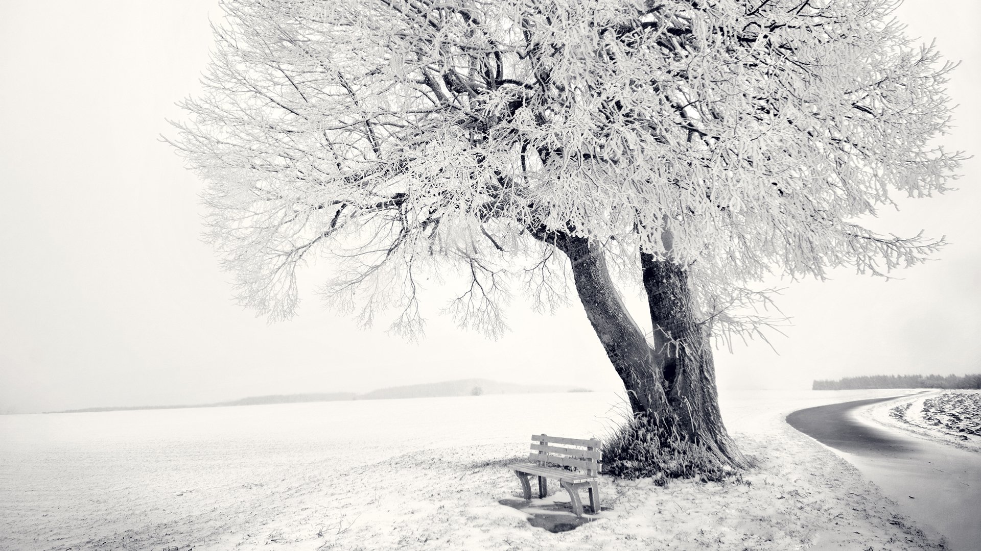 fond d écran 1920x1080 paysage nature arbre banc banc neige hiver gel route forêt horizon