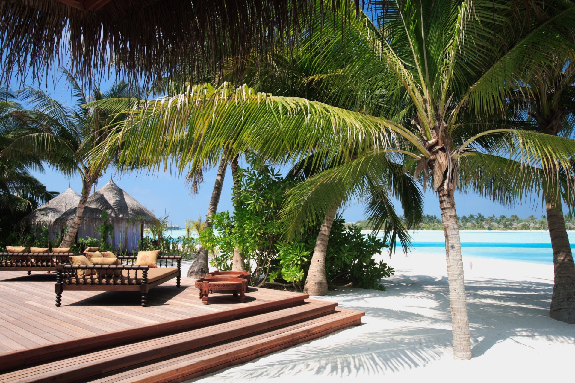 the maldives beach palm sand house okean.fon