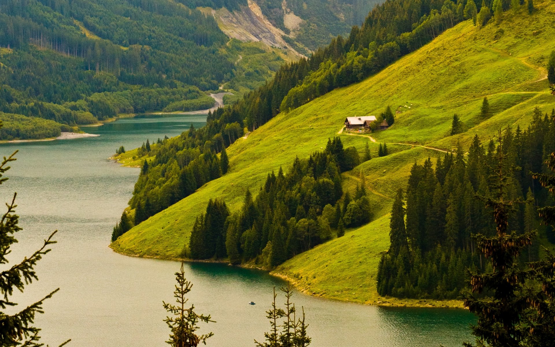 natura paesaggio montagne colline riva piante alberi foresta fiume sfondo carta da parati