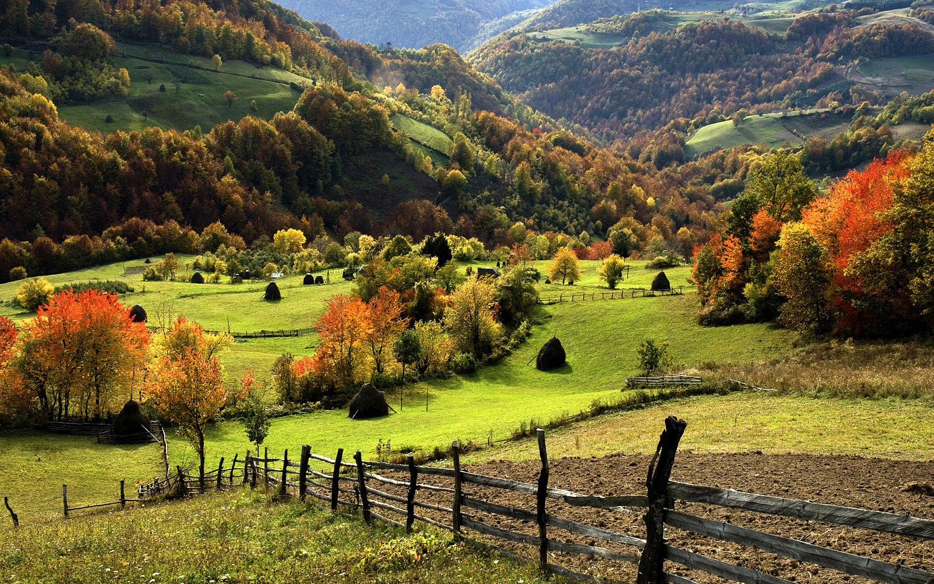 landschaft natur grün berge gras wald bäume zaun 1920x1200