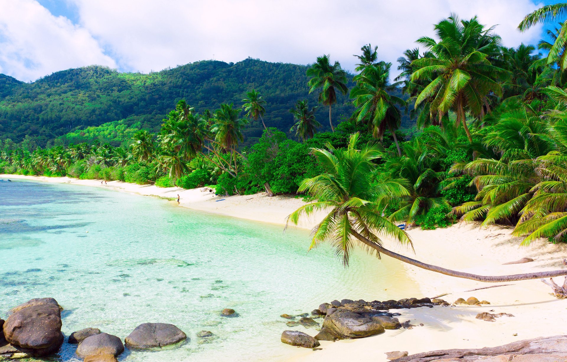 insel sandstrand meer landschaft strand sand palmen tropen weiß wolken